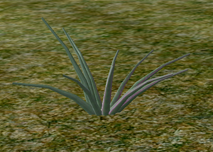 Herbs Tsangto.png