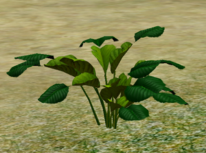 Herbs VerdantTwo-Lobe.png