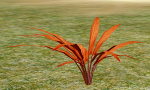 Herbs YellowTristeria.png