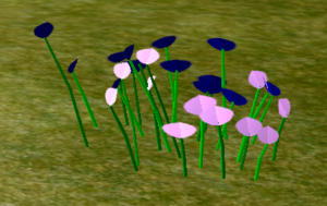 Indigo Bachelor Buttons.png