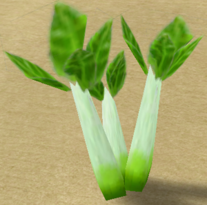 Leeks.png