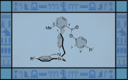 Molecular Balance 1