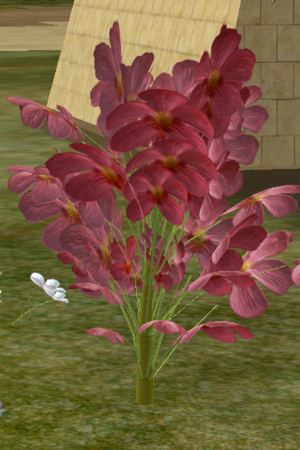 Pink Cloud Camelia.png