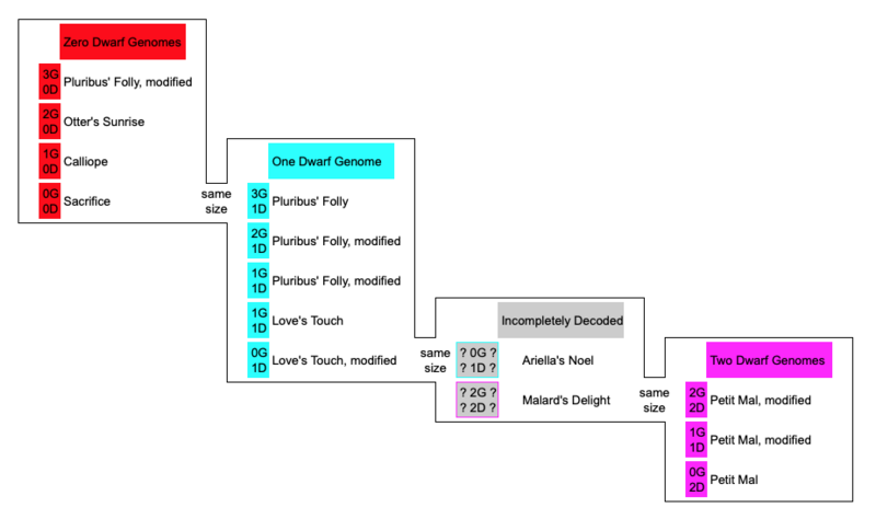 File:Sand Bloom Size Chart.png