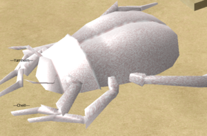 Scarab July 30 2021 - 5.png