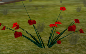 Scarlet Star Cluster.png