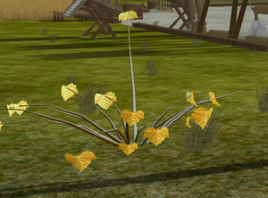 Sunny Star Cluster.png