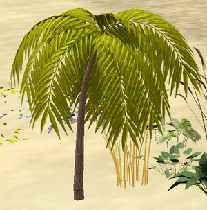 Tree-0-DatePalm.png