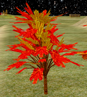 Tree-1-BlazeMapleSapling.png