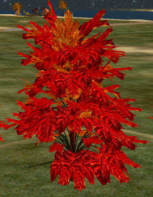 Tree-1-BlazeMapleYouth.png