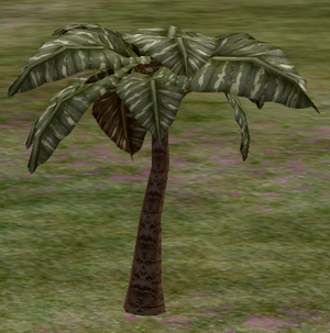 Tree-1-BroadleafPalm.png