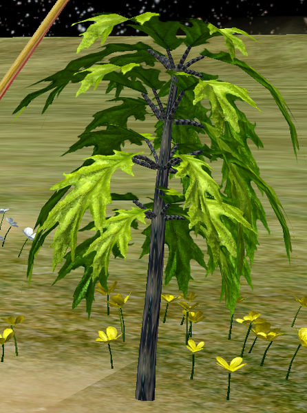 File:Tree-1-Chicory.png