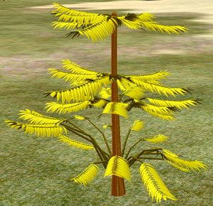 Tree-1-GoldenHemlockSapling.png