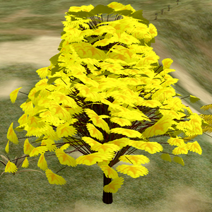 Tree-1-GreenAsh.png