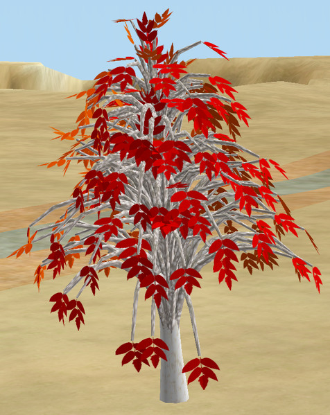 File:Tree-1-IllawaraYouth.png
