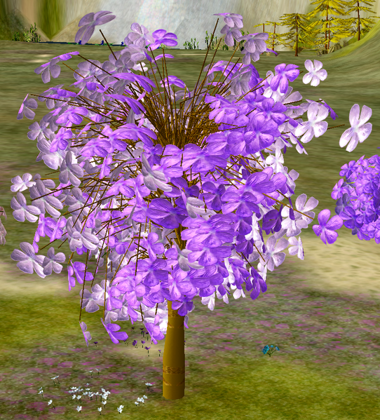 File:Tree-1-Jacaranda.png