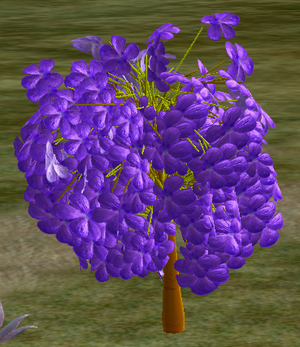 Tree-1-JacarandaSapling.png