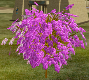 Tree-1-JapaneseCherrySapling.png