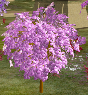 Tree-1-JapaneseCherryYouth.png