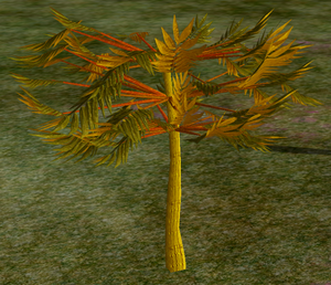 Tree-1-KhayaSapling.png