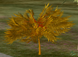 Tree-1-KhayaYouth.png