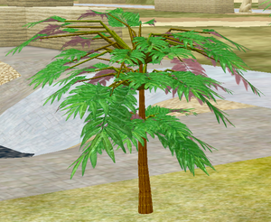 Tree-1-MimosaSapling.png