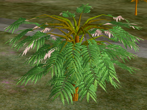 Tree-1-MimosaYouth.png