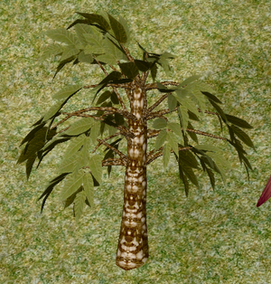 Tree-1-Oleaceae.png