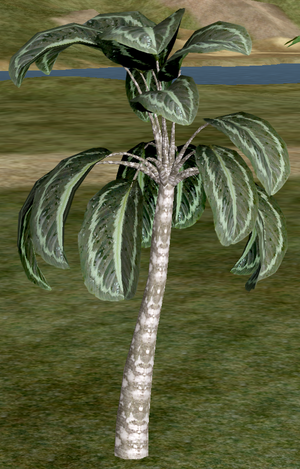 Tree-1-Passam.png