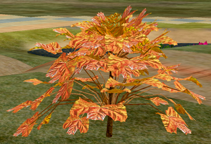 Tree-1-PeachNCreamMaple.png