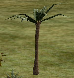 Tree-1-Razorpalm.png