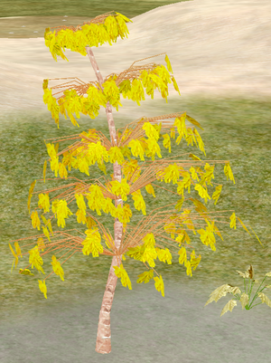 Tree-1-RiverBirchSapling.png