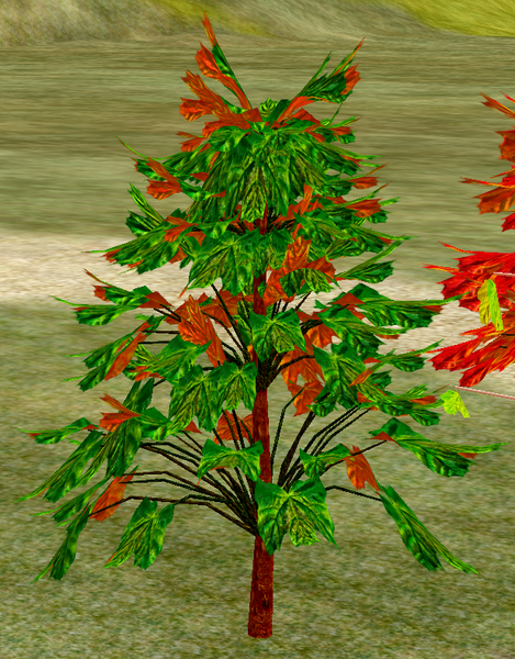 File:Tree-1-SummerMapleYouth.png