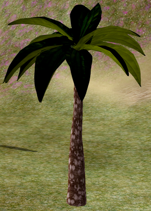 Tree-1-WindriverPalm.png