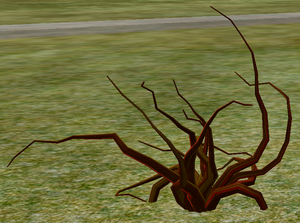 Tree-2-Cricklewood.png