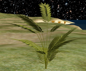 Tree-2-MiniatureFernPalm.png