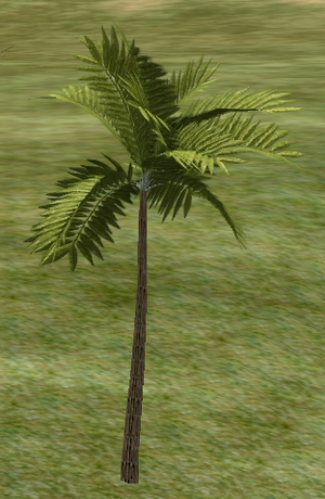 Tree-3-FernPalm.png