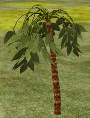 Tree-3-UmbrellaPalm.png