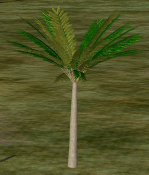 Tree-4-RoyalPalm.png