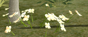 Twinkles Periwinkle.png