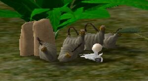 Wreck and raider pufferfish.jpg