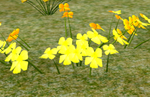 Yellow Pansy.png