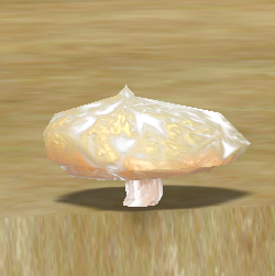 Acorn's Cap Mushroom