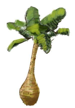 A bulbous tree trunk with palm tree leaves on top.