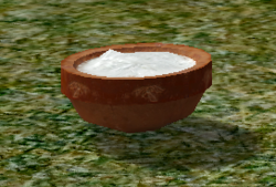 Coconut Meat
