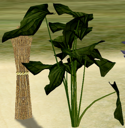 Herbs Crumpled Leaf Basil.png