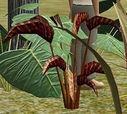 Herbs EnchantersPlant.jpg