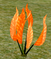 Herbs FireLily.png