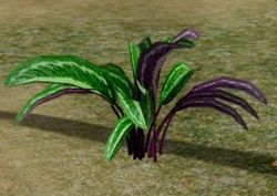 Herbs OctecsGrace.jpg