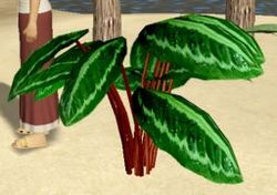 Herbs TurtlesShell.jpg